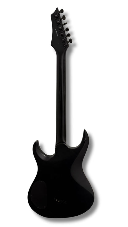 Washburn XM-PRO EMG Pickups